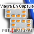 Viagra Capsule cialis4